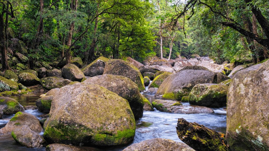 Mossman River, Mossman Gorge, Queensland Australia