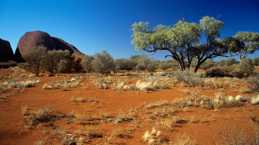Arid Australian Landscape
