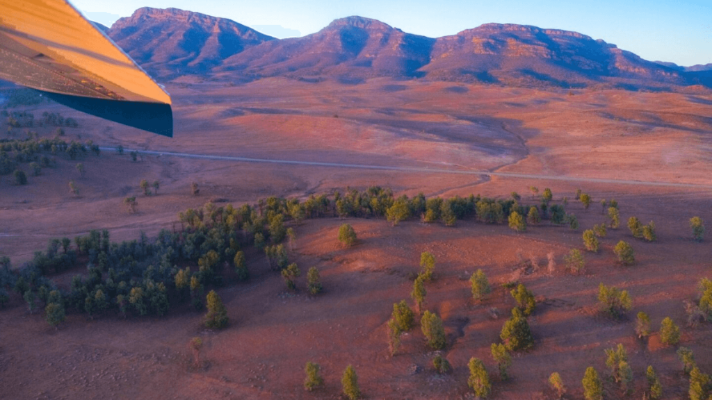 Flinders Ranges National Park