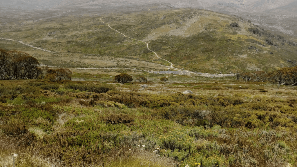 Kosciuszko National Park