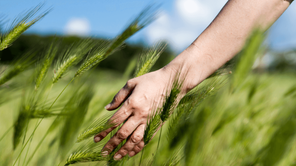 Nature As Medicine