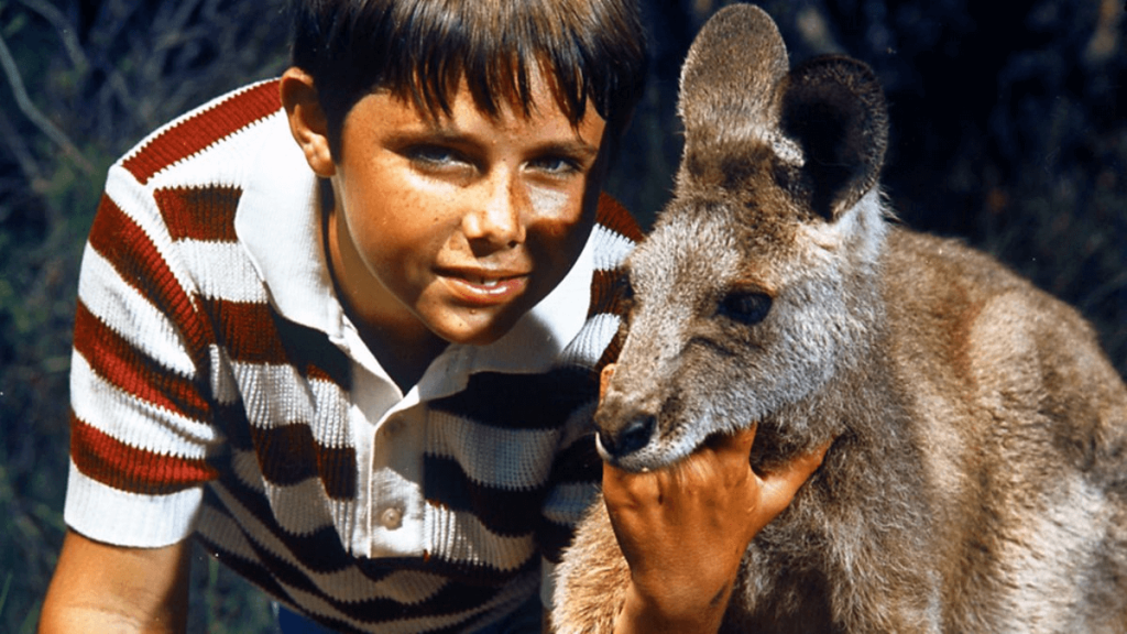 Skippy the Bush Kangaroo