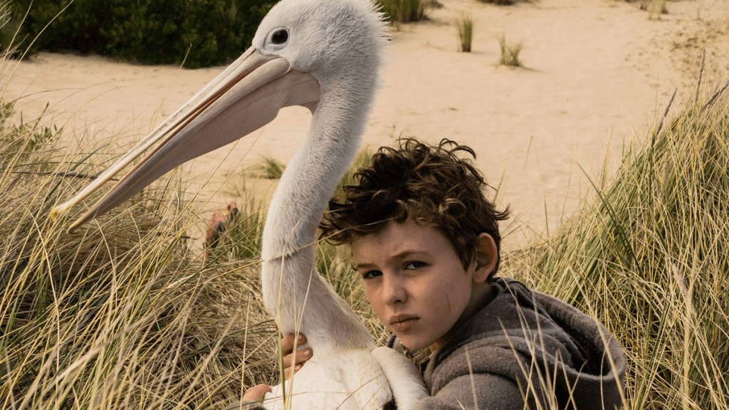 Storm Boy (1976 & 2019)