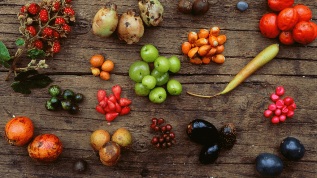 Bush Tucker Flat Lay