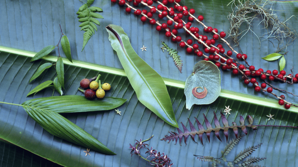 Bush Tucker Flat Lay on Leaves