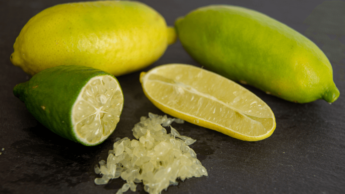 Finger Lime